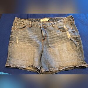 Torrid Blue Denim Women's Shorts